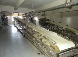 輸送帶是現(xiàn)代經(jīng)濟的必然發(fā)展趨勢